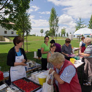 Fest am Berg