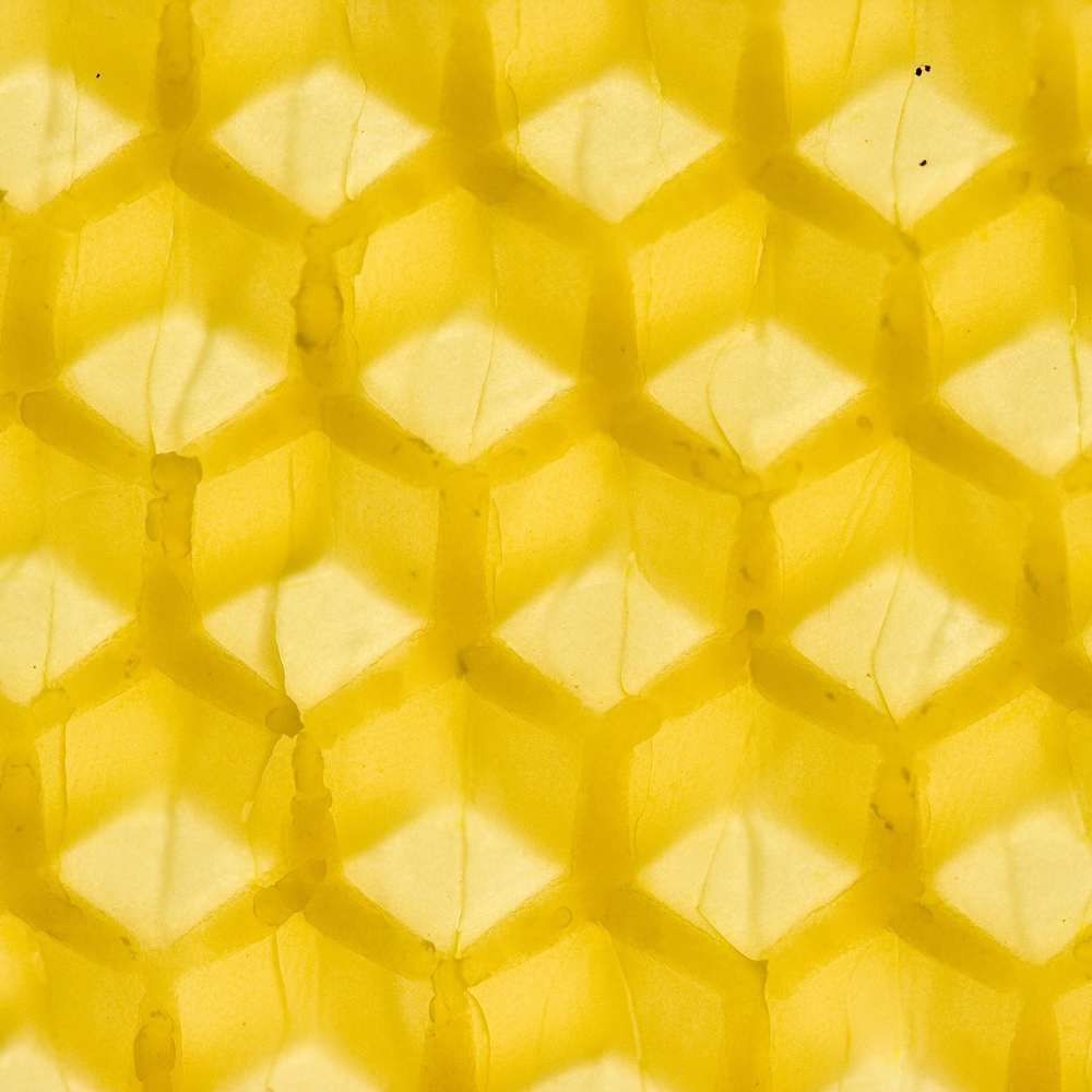 Bienenwaben