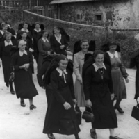 Goldhauben und Kopftuchgruppe