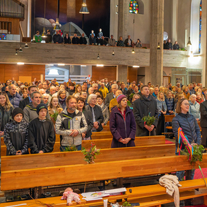 Palmsonntag Pfarre Kirchdorf an der Krems