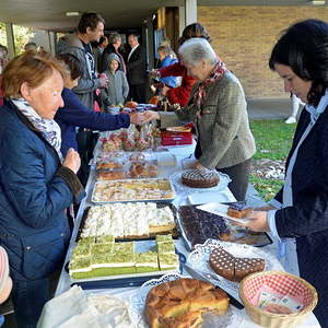 Bild7