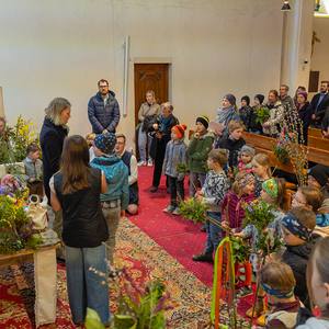 Palmsonntag Pfarre Kirchdorf an der Krems
