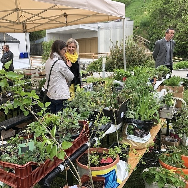 1.Mai 2022: Pflanzenmarkt / © Pfarrgemeinde Dietach 1.Mai 2022: Pflanzenmarkt