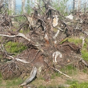 Pfarrausflug