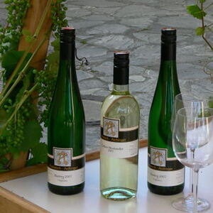 Begegnungsfest 2008