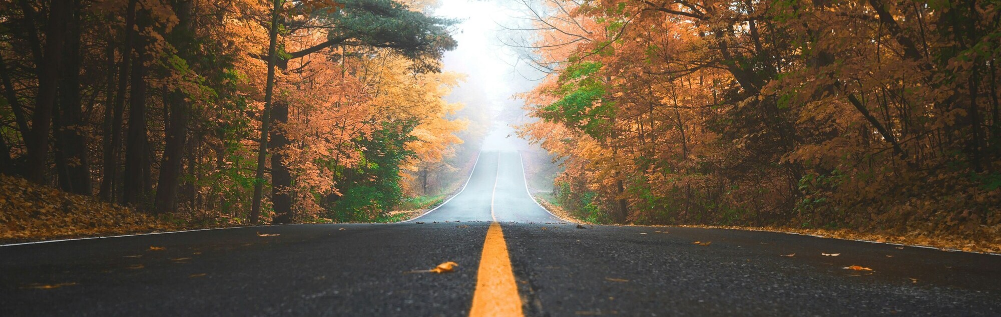 Straße durch den Herbstwald