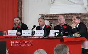 'Ökologische Umkehr' gemeinsames Anliegen aller Kirchen