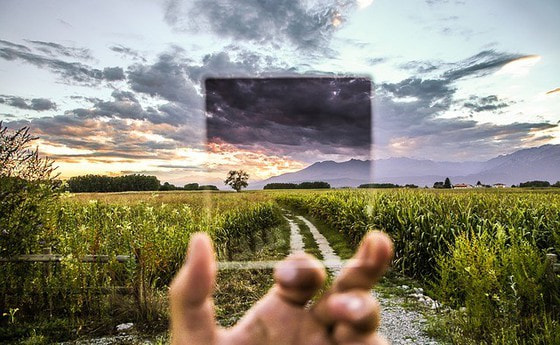 Vision