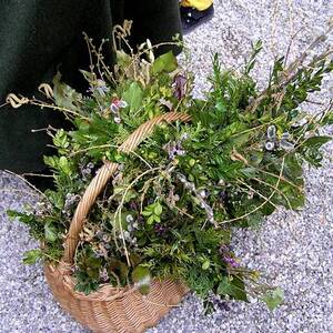Palmsonntag