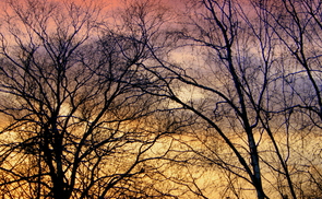 Abendstimmung © dieraecherin/morguefile.com